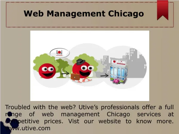 website promotion chicago