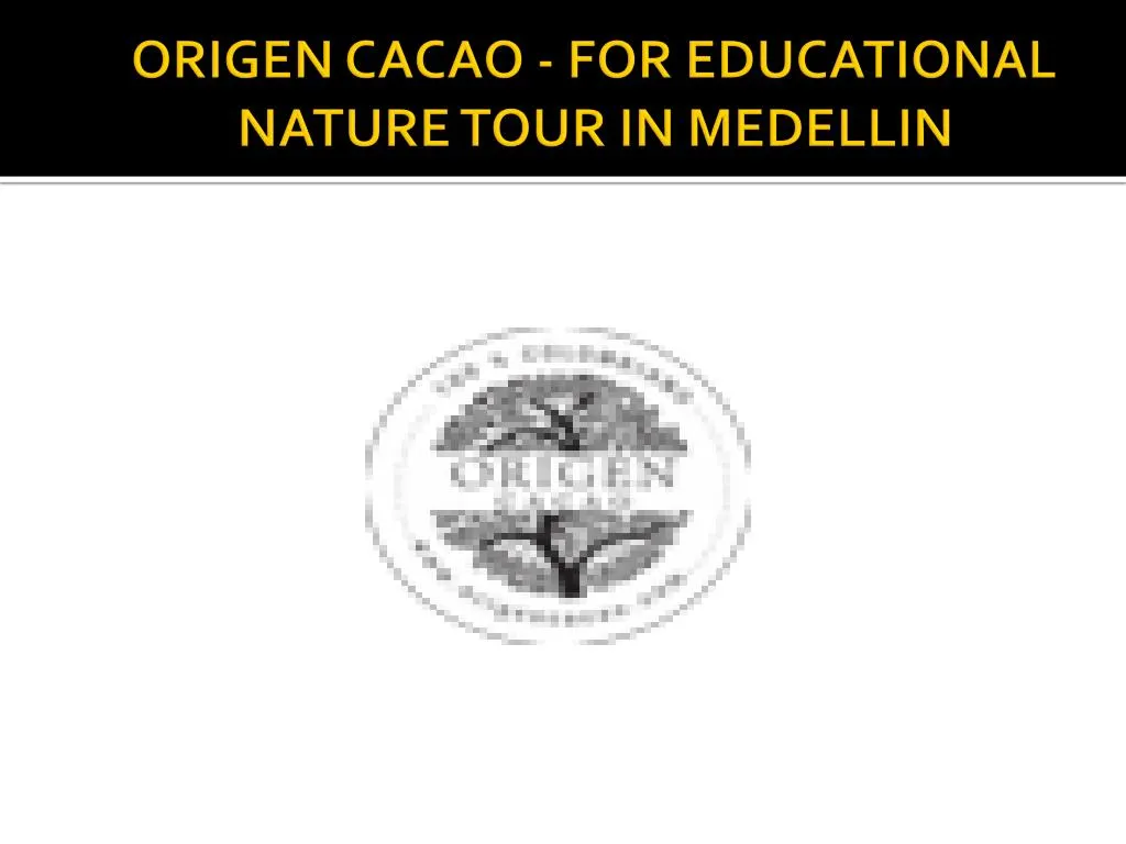 origen cacao for educational nature tour in medellin