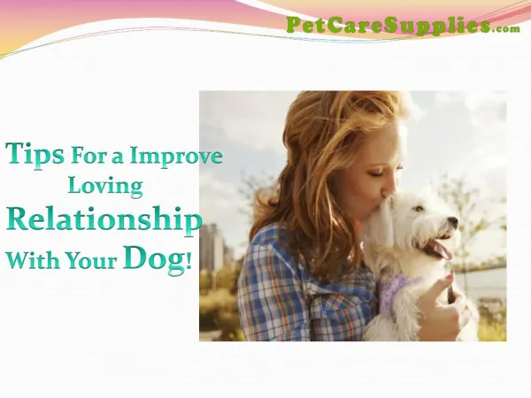 Tips For a Improve Loving Relationship with Your Dog!