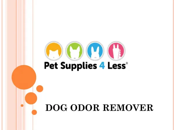 Dog Odor Remover