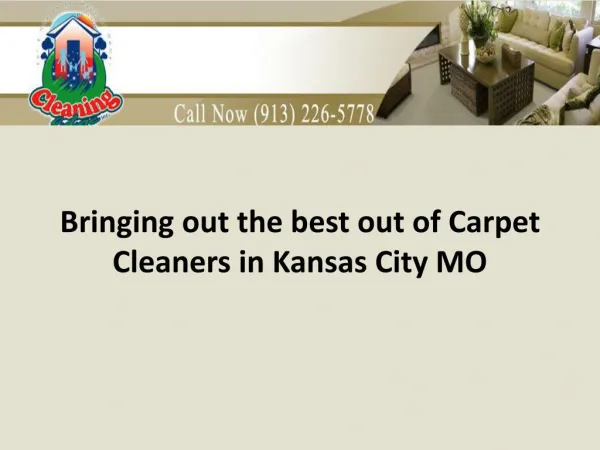 Bringing out the best out of Carpet Cleaners in Kansas City MO