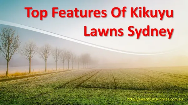 Top Features Of Kikuyu Lawns Sydney