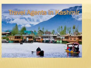 Top rated travel agents Kashmir