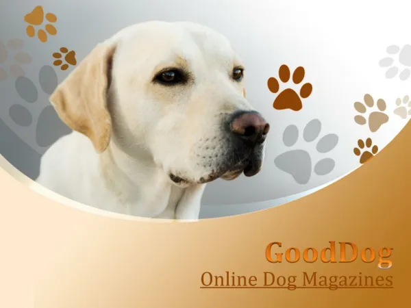 Free Dog Magazine Subscription - Gooddog.com