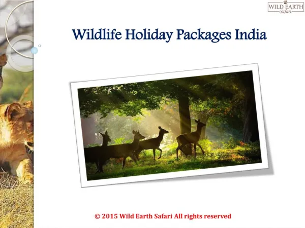 Wildlife Holiday Packages India