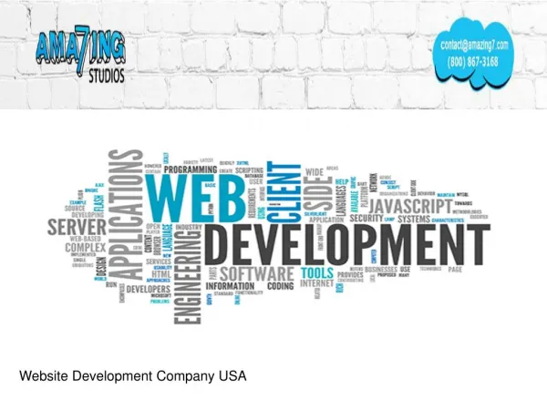 Website Development Company - 8008673168