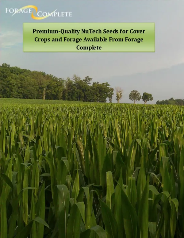 Premium-Quality NuTech Seeds for Cover Crops and Forage Available From Forage Complete