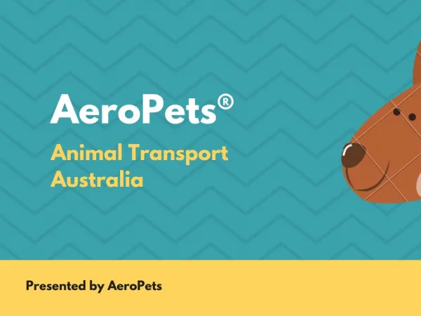 AeroPets® Animal Transport
