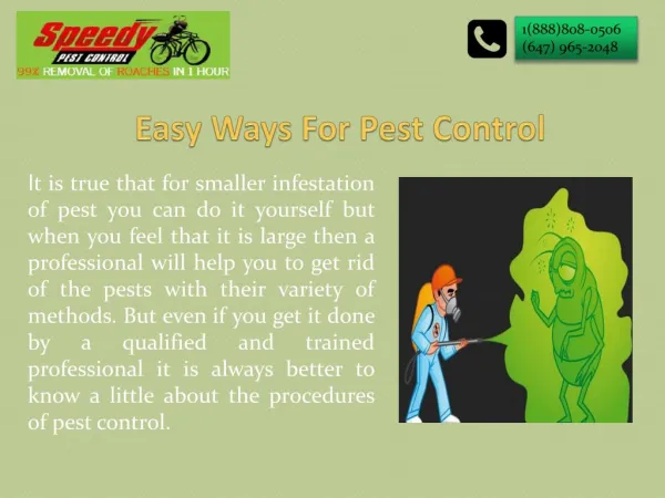 Easy Ways For Pest Control