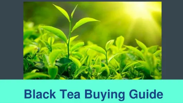 Black Tea Buying Guide