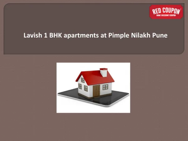 1 BHK Flats in Pimple Nilakh