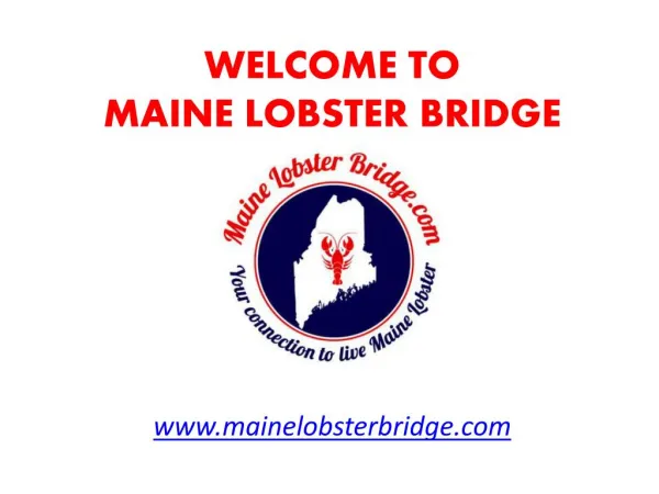 welcome to lobster