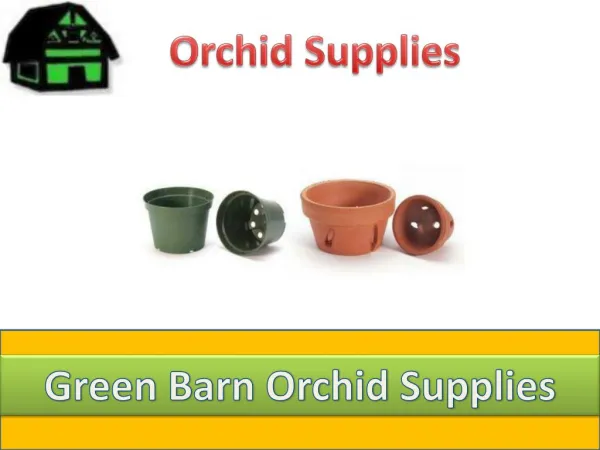 Buy Orchid Pots from Green Barn Orchid Supplies