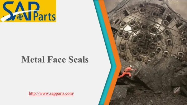 Metal Face Seals