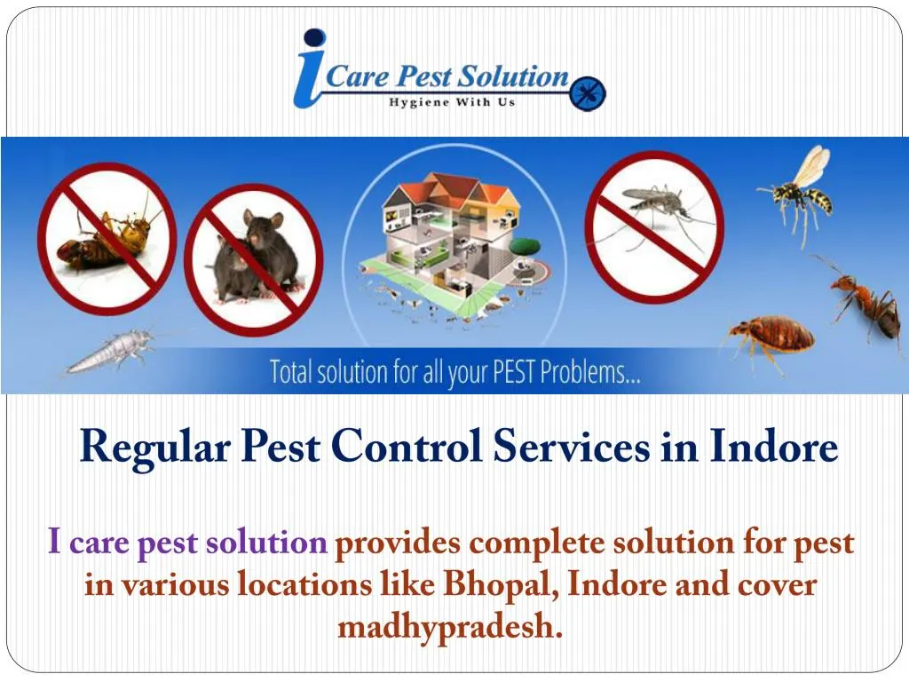 regular pest control services in indore