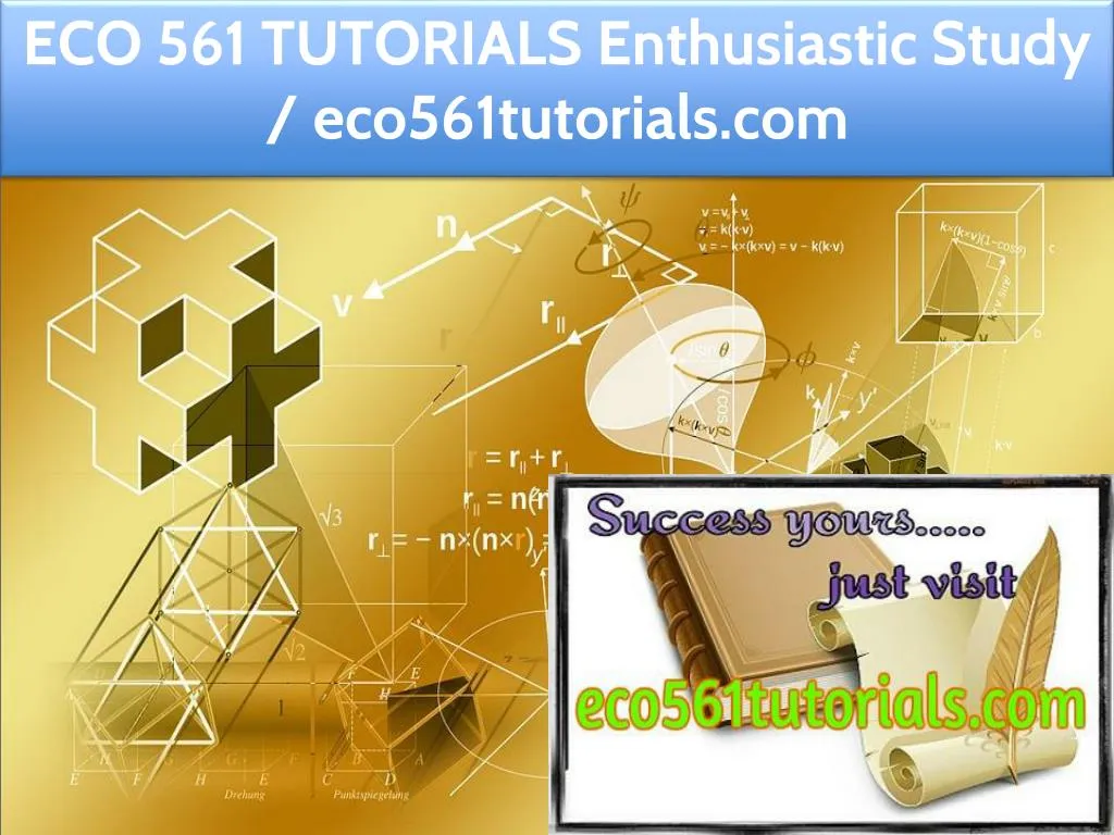 eco 561 tutorials enthusiastic study