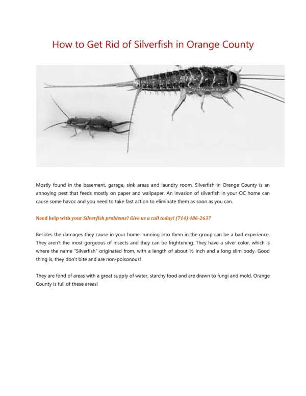 How to Get Rid of Silverfish in Orange County