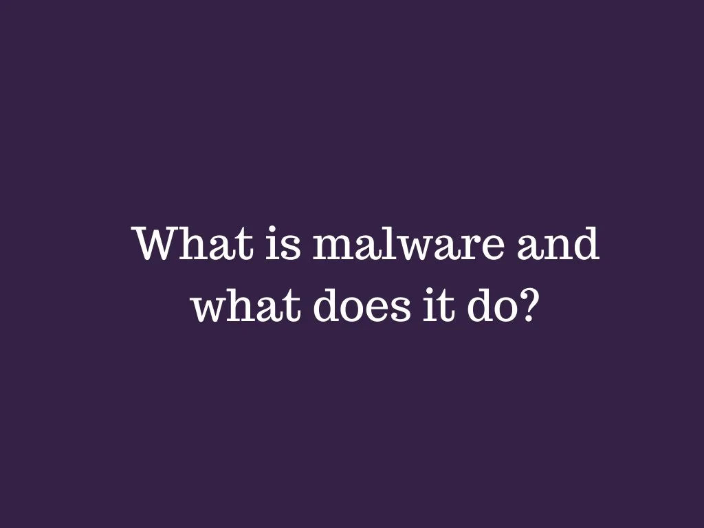 what is malware and what does it do