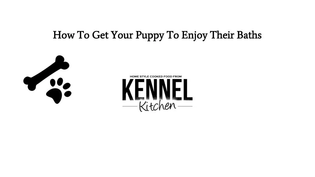 how to get your puppy to enjoy their baths