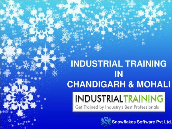 6 Months Industrial Training Mohali - Snowflakes Software