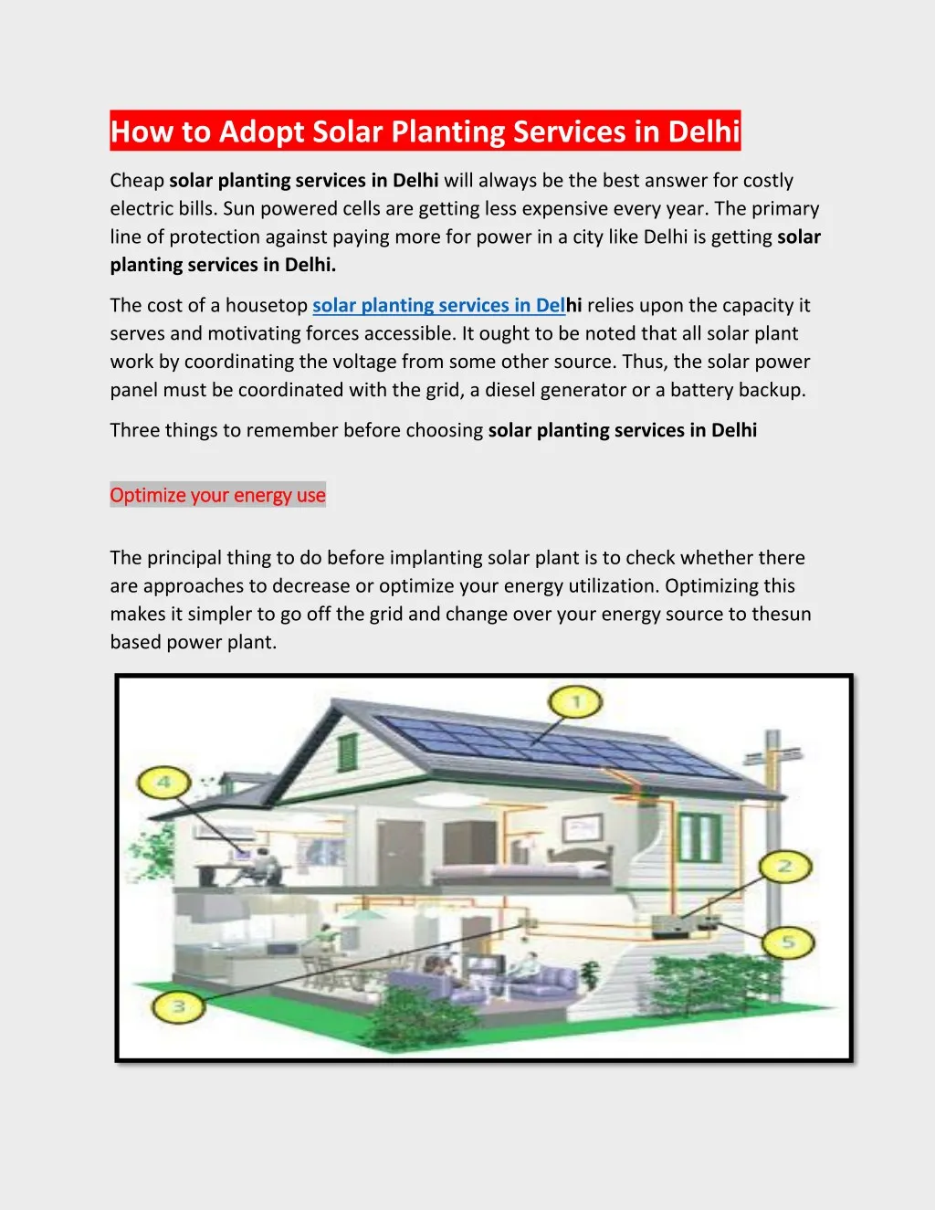 how to adopt solar planting services in delhi