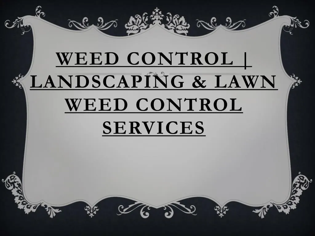 weed control landscaping lawn weed control services