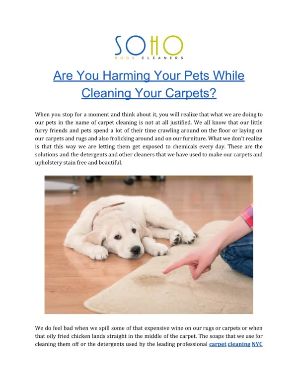 Rug Cleaning | Carpet Cleaning NYC | Soho Rug Cleaning