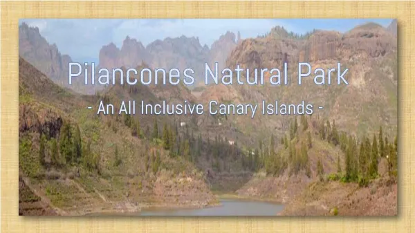 Pilancones Natural Park - An All Inclusive Canary Islands