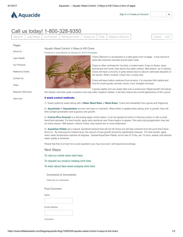 Aquatic Weed Control: 4 Ways to Kill Chara