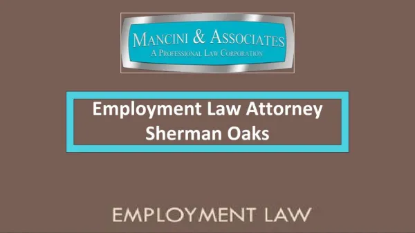 Employment Law Attorney Sherman Oaks