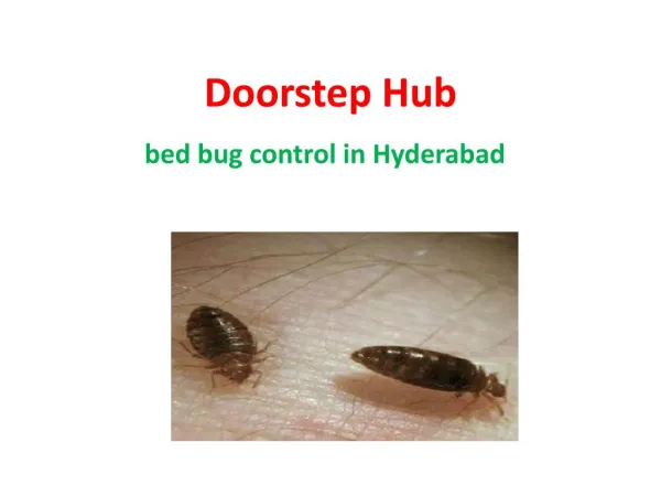 Bed Bug Control In Hyderabad