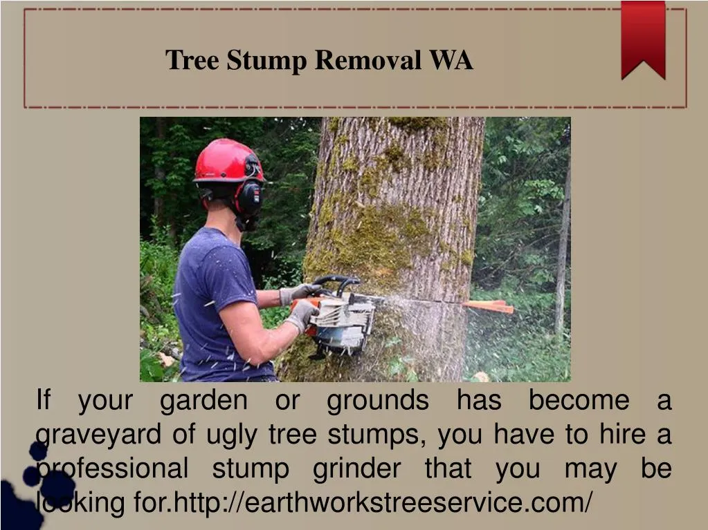 tree stump removal wa