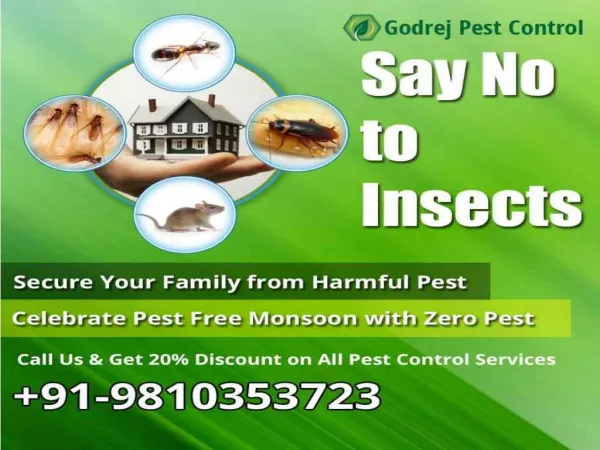 Hurry Up Get 20% Discount Pest Control in Delhi | South Delhi