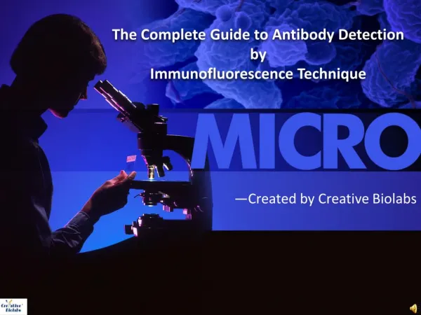 The Complete Guide to Antibody Detection by Immunofluorescence Technique