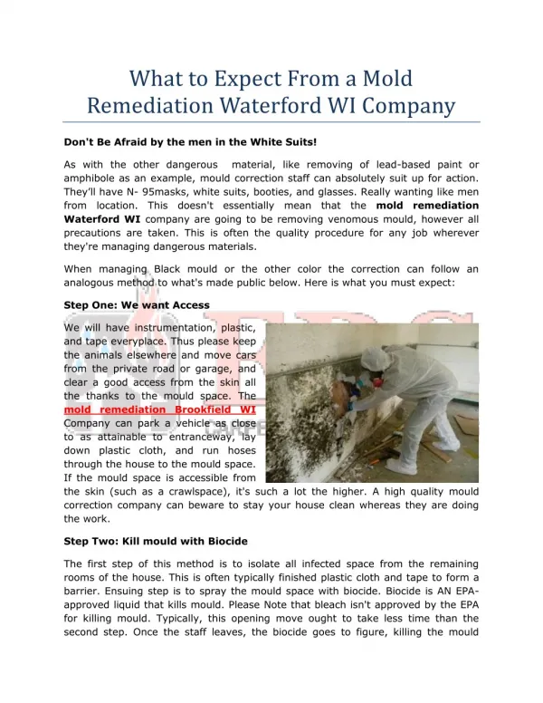 What to Expect From a Mold Remediation Waterford WI Company