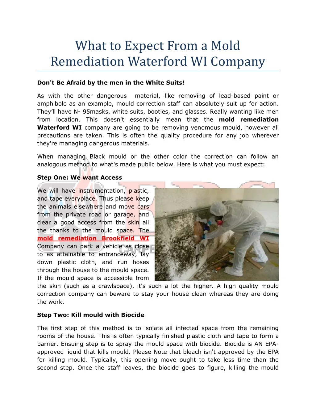 what to expect from a mold remediation waterford