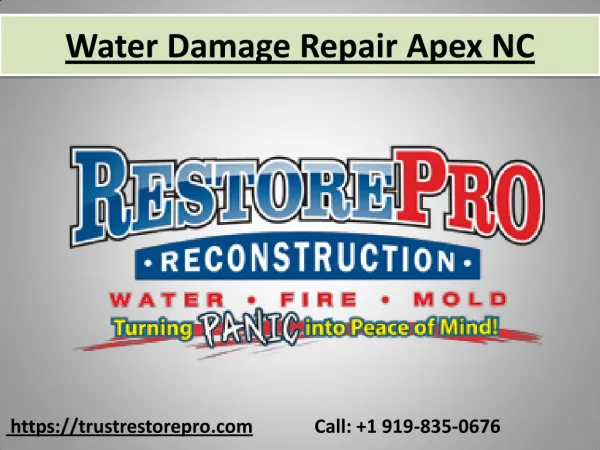 Professional Water Damage Repair Service at Apex North Carolina