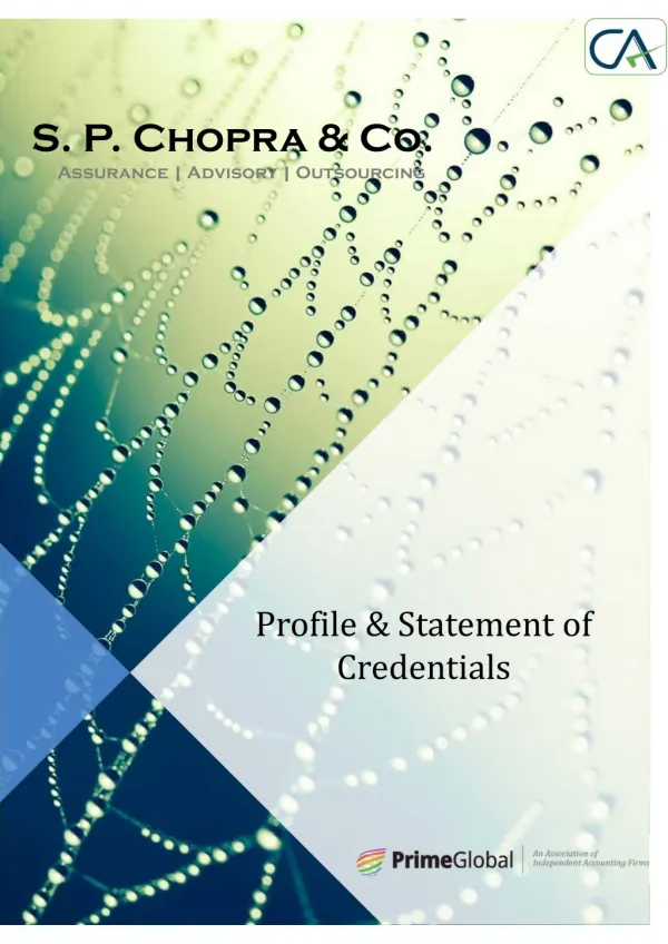 SP Chopra Chartered Accountants Profile and Credentials
