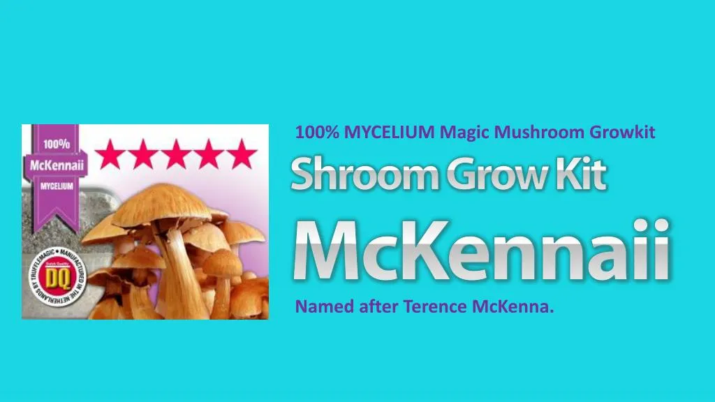 100 mycelium magic mushroom growkit