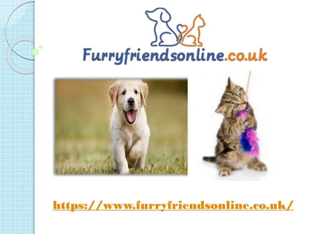 https www furryfriendsonline co uk