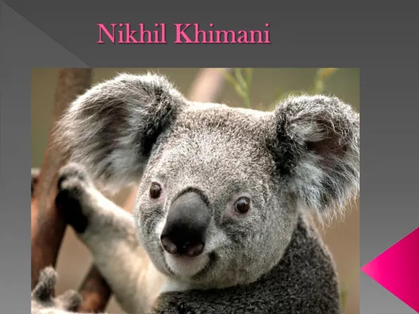 Nikhil Khimani CEO Experience