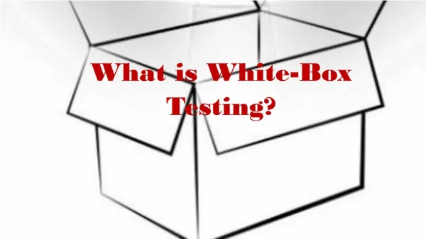 What is White-Box Testing?
