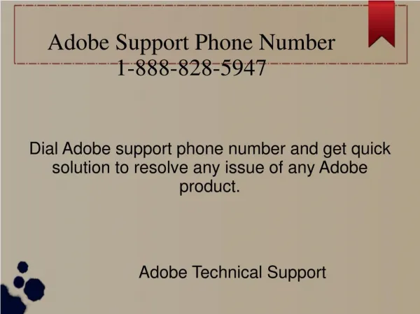 Adobe Support Phone Number