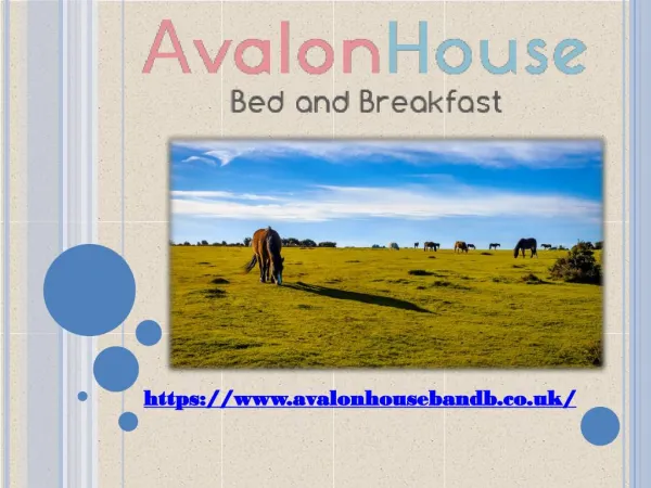 Bed and breakfast lyndhurst