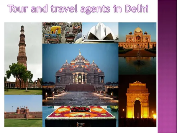 Tour and travel agents in Delhi
