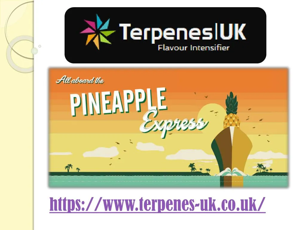 https www terpenes uk co uk