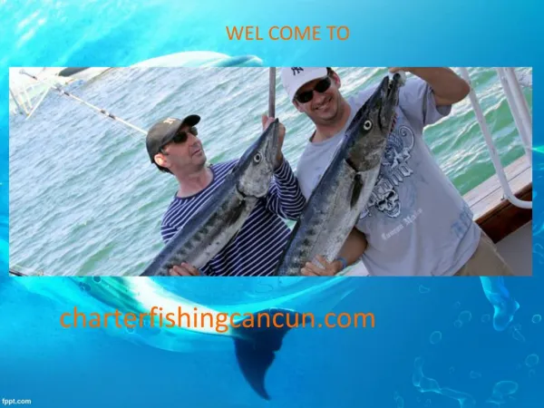 Deep Sea Fishing Tours - Cancun Fishing Charters