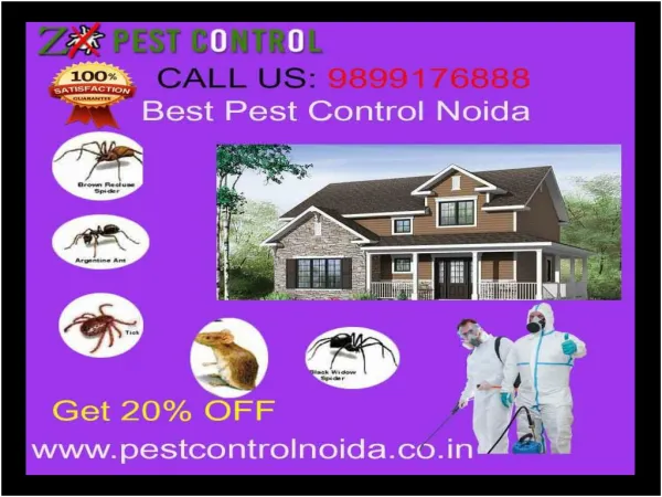 Best Affordable Pest Control Noida | Get 20% off & Free Inspection