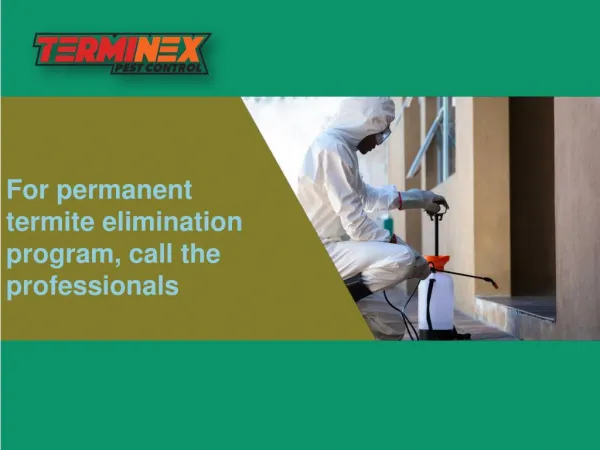 For permanent termite elimination program, call the professionals