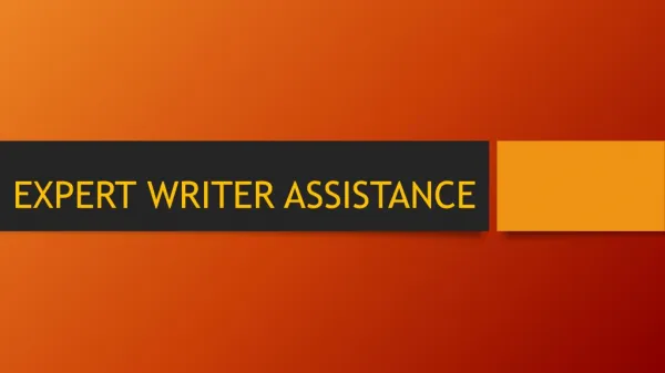 Expert Writer Assistance